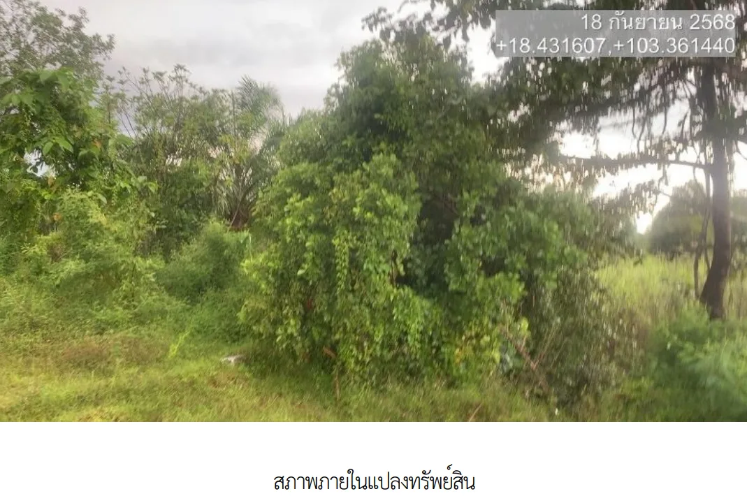 ที่ดินว่างเปล่า เมืองบึงกาฬ  บึงกาฬ