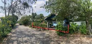 บ้านเดี่ยว โครงการ ร่มรื่นการ์เด้นวิลล์ 3 อยุธยา รูปที่ 2