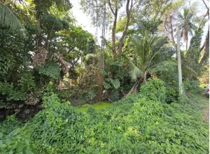 ที่ดินว่างเปล่า สามพราน นครปฐม