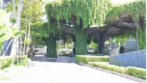 บ้านเดี่ยว โครงการ บุราสิริ วัชรพล กรุงเทพมหานคร รูปที่ 4