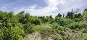 ที่ดินว่างเปล่า เมืองลำปาง ลำปาง