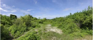 ที่ดินว่างเปล่า เมืองลำปาง ลำปาง