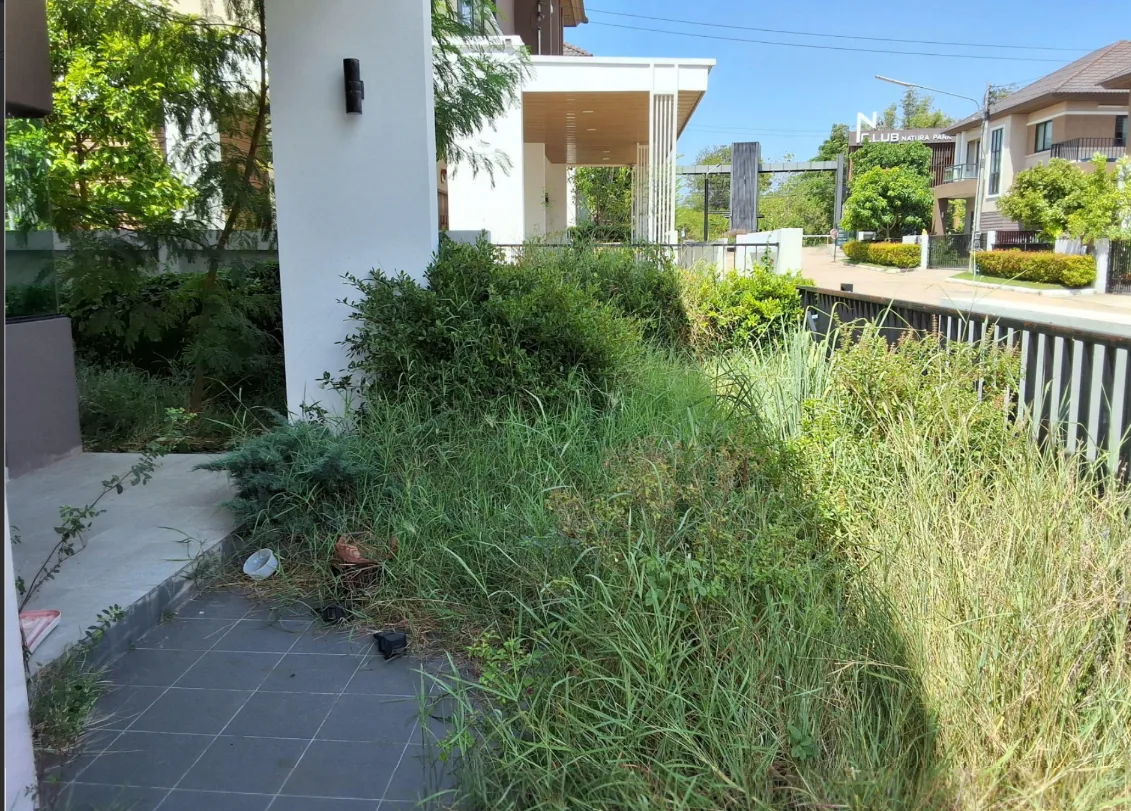 บ้านเดี่ยว โครงการ เนเทอร์ร่า พาร์ค นครราชสีมา