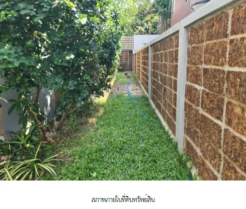 บ้านเดี่ยว โครงการ อารีนา การ์เด้น บางนา-สุวรรณภูมิ สมุทรปราการ