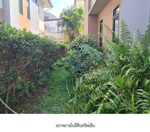 บ้านเดี่ยว โครงการ อารีนา การ์เด้น บางนา-สุวรรณภูมิ สมุทรปราการ