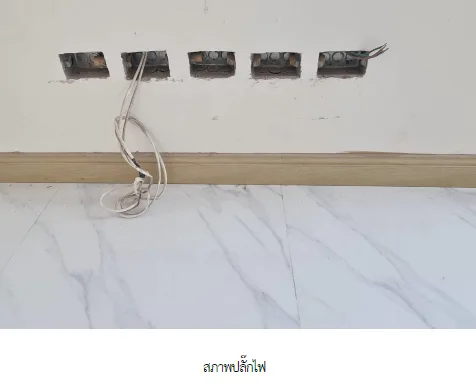 บ้านเดี่ยว โครงการ อารีนา การ์เด้น บางนา-สุวรรณภูมิ สมุทรปราการ