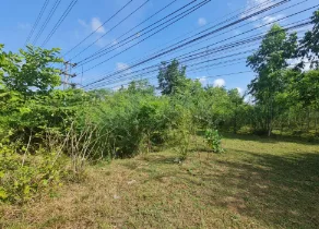 ที่ดินว่างเปล่า วัฒนานคร สระแก้ว