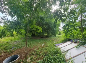 ที่ดินว่างเปล่า วัฒนานคร สระแก้ว