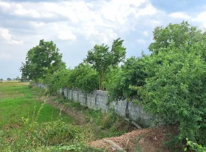 ที่ดินว่างเปล่า สวรรคโลก สุโขทัย