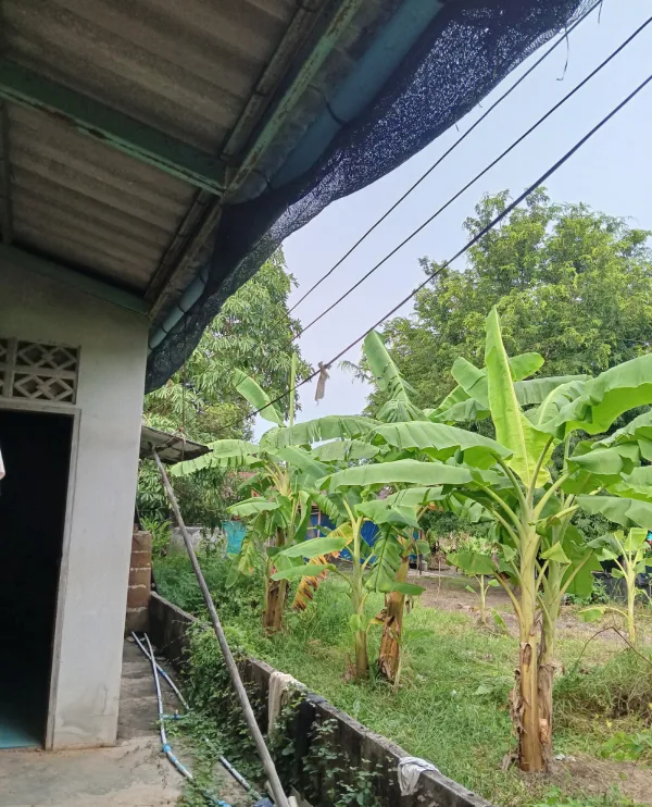 บ้านเดี่ยว ศรีมโหสถ ปราจีนบุรี