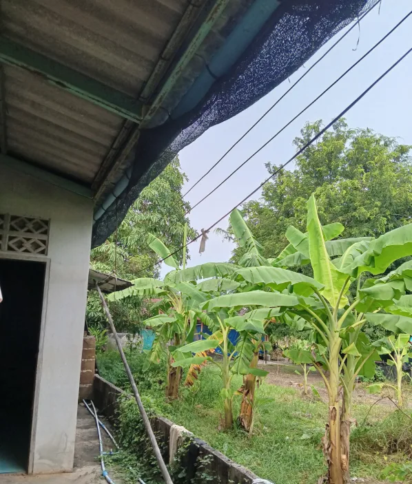 บ้านเดี่ยว ศรีมโหสถ ปราจีนบุรี