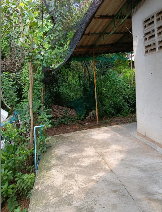 บ้านเดี่ยว ศรีมโหสถ ปราจีนบุรี
