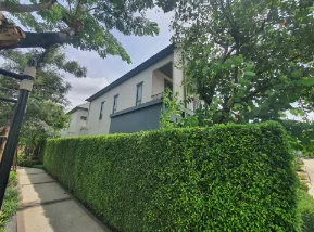 บ้านเดี่ยว โครงการ โครงการสราญสิริ ราชพฤกษ์-345(ซอยถนนเมนโครงการ) นนทบุรี