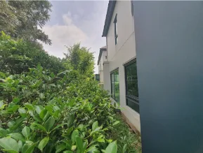 บ้านเดี่ยว โครงการ โครงการสราญสิริ ราชพฤกษ์-345(ซอยถนนเมนโครงการ) นนทบุรี