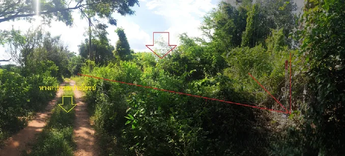 ที่ดินว่างเปล่า โครงการ บ้านซำแฮด มหาสารคาม