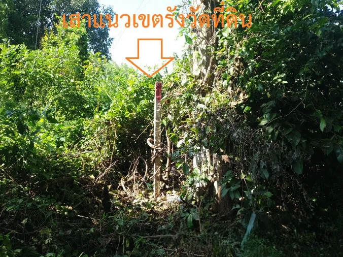 ที่ดินว่างเปล่า โครงการ บ้านซำแฮด มหาสารคาม