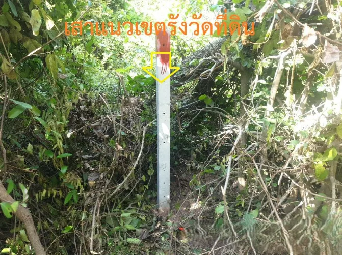 ที่ดินว่างเปล่า โครงการ บ้านซำแฮด มหาสารคาม