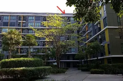 ห้องชุด ไอคอนโด สุขุมวิท 103 [ชั้น 8 อาคาร C] รูปที่ 4