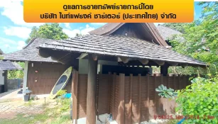 โรงแรม เกาะสมุย สุราษฎร์ธานี