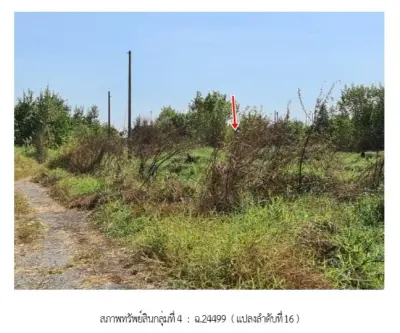 ที่ดินว่างเปล่า ฉลองกรุง ริเวอร์วิลล์ หนองจอก รูปที่ 4