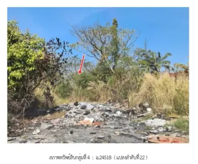 ที่ดินว่างเปล่า ฉลองกรุง ริเวอร์วิลล์ หนองจอก รูปที่ 4