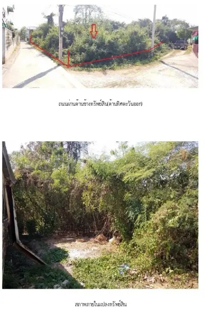 ที่ดินว่างเปล่า เมืองพิษณุโลก รูปที่ 3