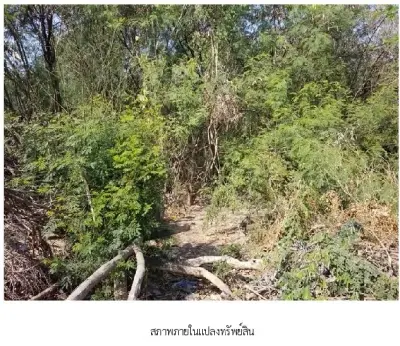 ที่ดินว่างเปล่า เมืองพิษณุโลก รูปที่ 4